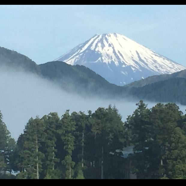 pic20150503123509_1.jpg